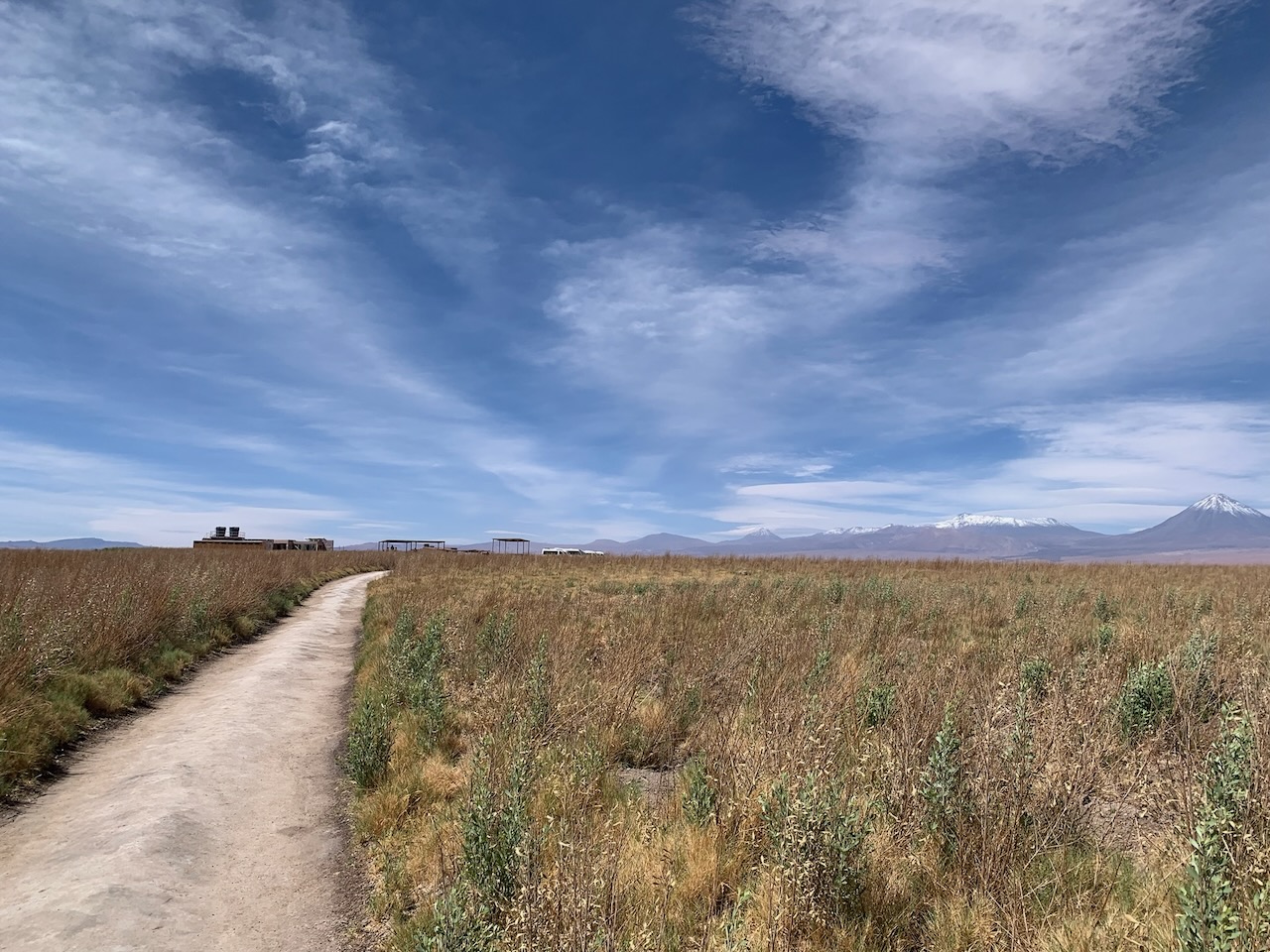 A narrow path cuts through the Atacama Desert